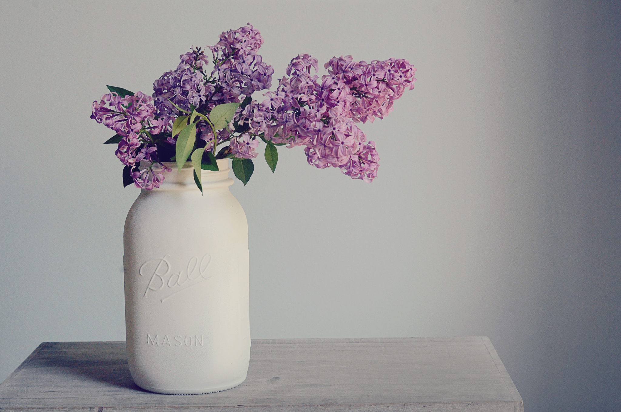 Lilacs in a white spray painted mason jar vase