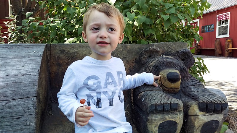 Miles pointing at the bear carved into a bench