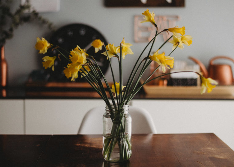 unkempt daffodils in a jar on a dining table in the morning sunlight