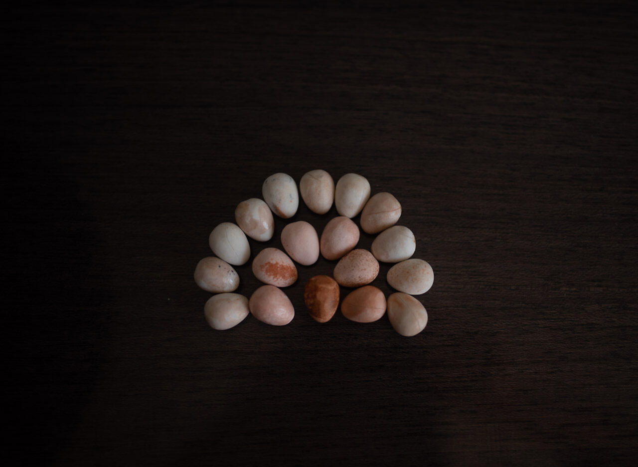 hand painted mini eggs